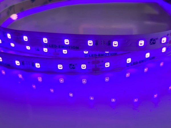 LED-Streifen 70LEDs/m, UV 395-400nm 4700mW/m, IP20 300LSE tape, 14.4W/m 24V
